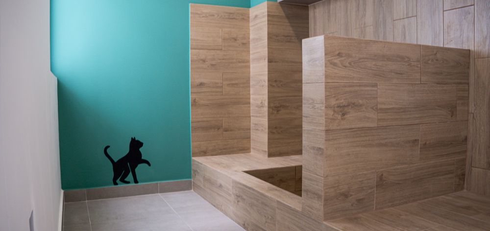 proyecto jardines santa beatriz pet shower