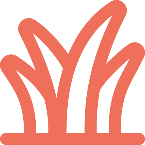 Jardines internos
